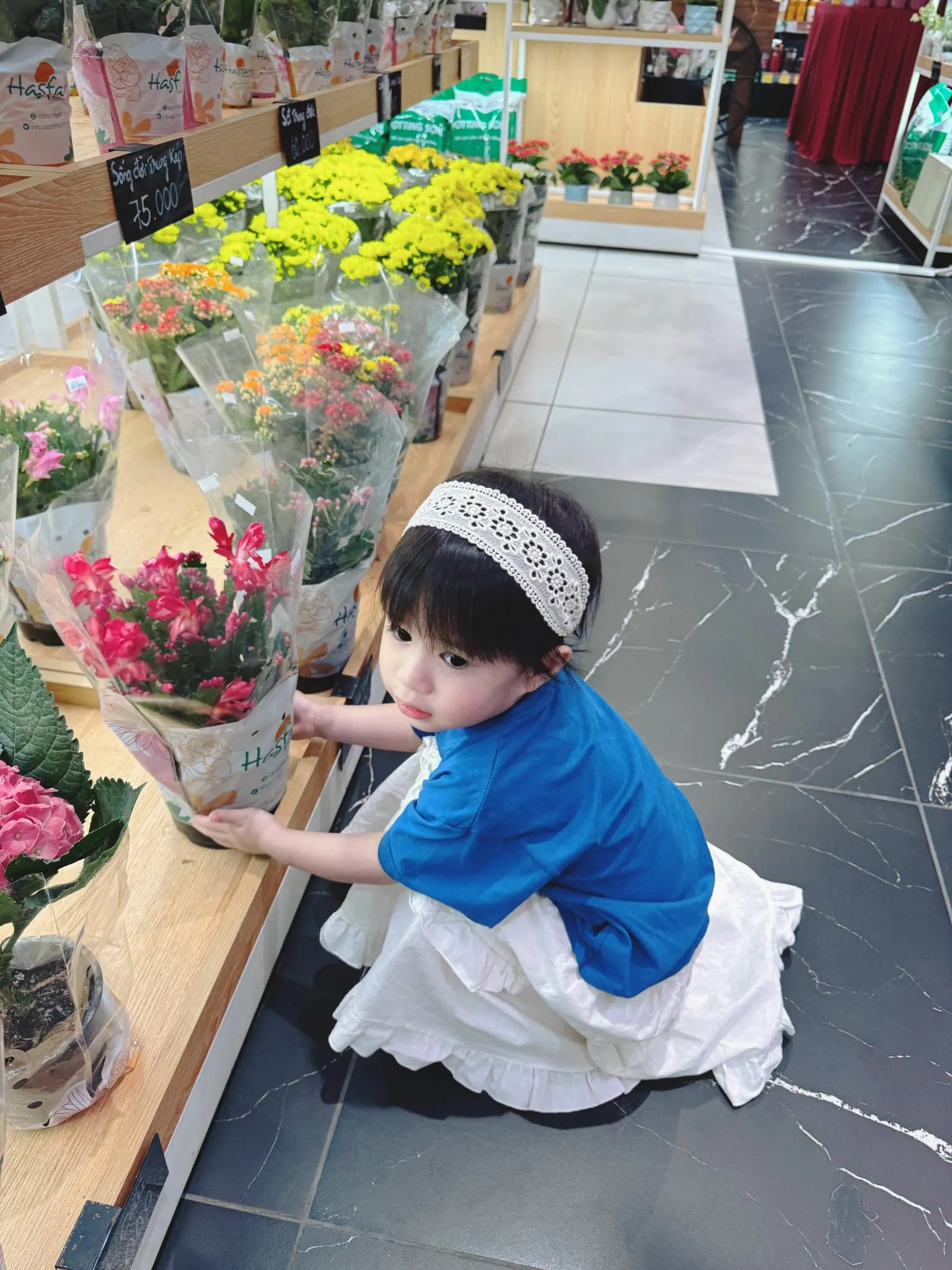 Kẹp nơ tóc handmade Lavii